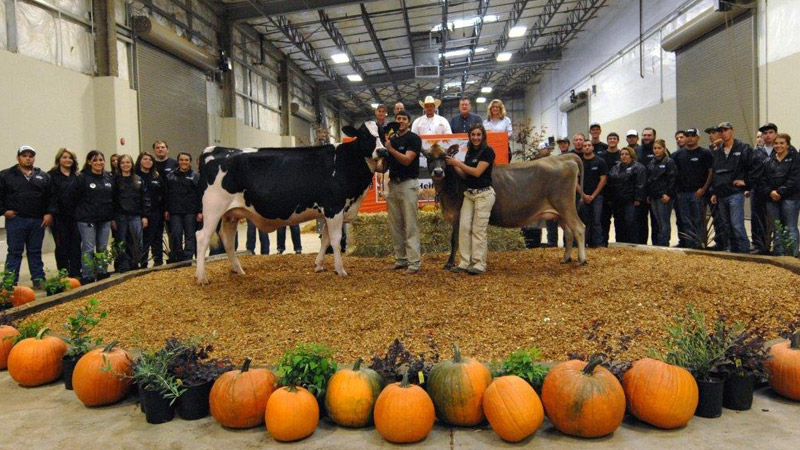 Students and faculty posing with livestock